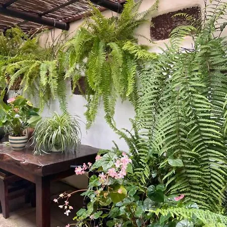 Preciosa Casa Canaria En Un Paraiso Natural *